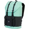 Рюкзак HERSCHEL LITTLE AMERICA LUCITE GREEN/BLACK 25L SS20