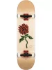 Скейтборд GLOBE G2 BLOOM Natural SS21