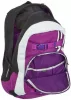 Рюкзак DAKINE EXPLORER PBS 26L SS18