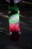 Круизер LANDYACHTZ PERFECTO ATV-X RACCOON 32"