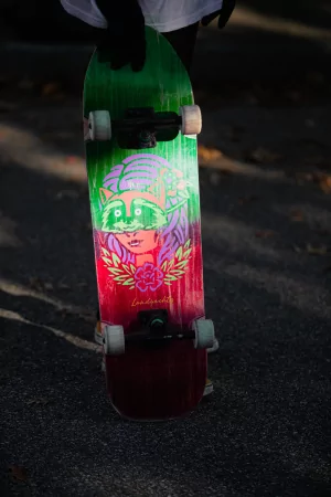 Круизер LANDYACHTZ PERFECTO ATV-X RACCOON 32"