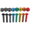 Винты для скейтборда ENJOI Little Buddies Anodized Bolts 1" SS19