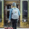 Рюкзак DAKINE GARDEN AZURE 20L SS19