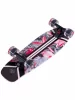 Круизер RIDEX FLORA SS22