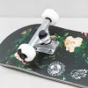 Скейтборд GLOBE G1 INSIGNIA Maple/Thornbush SS21