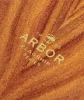 Круизер ARBOR SIZZLER 30.5" FLAGSHIP SS22