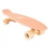 Лонгборд PENNY ORIGINAL 22" POSTCARD COASTAL PEACH