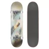 Скейтборд GLOBE G1 STACK Daydream SS21