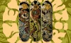 Дека для скейтборда ELEMENT TIMBER HIGH DRY SNAKE 8.5" SS22