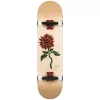 Скейтборд GLOBE G2 BLOOM Natural SS21