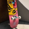 Скейтборд Z-FLEX ARAGON PINK