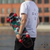 Круизер RIDEX SUNRIDER