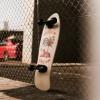 Круизер Z-FLEX ARAGON CHEETAH 80's Frog 31"