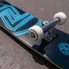 Скейтборд Z-FLEX MINI LOGO BLUE SS22