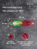 Лонгборд RIDEX SPIRIT